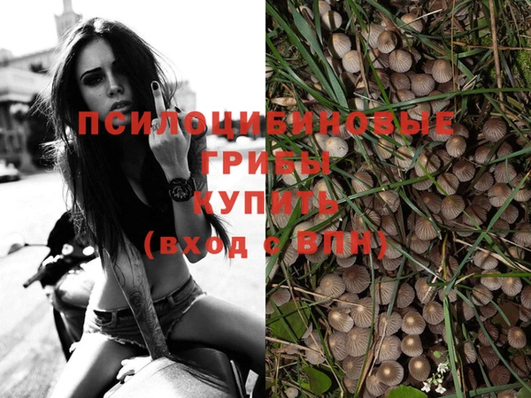 гашиш Новодвинск