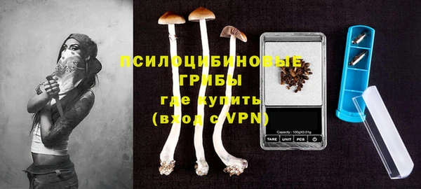 ПСИЛОЦИБИНОВЫЕ ГРИБЫ Алексин
