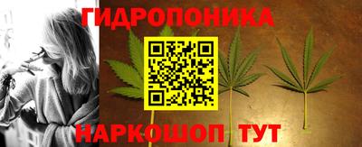 мдма Можга