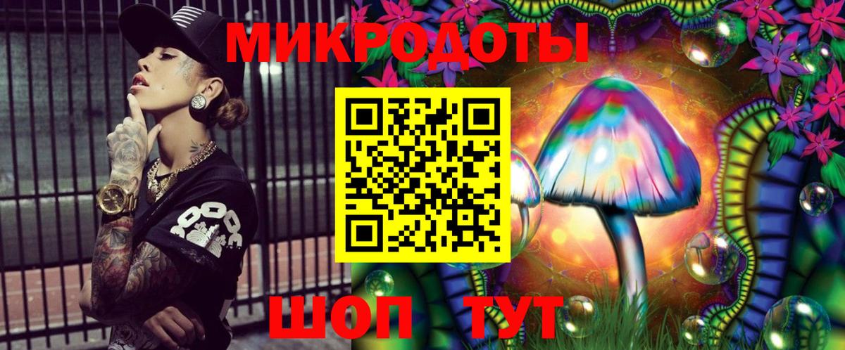 Псилоцибиновые грибы Psilocybe Ярцево