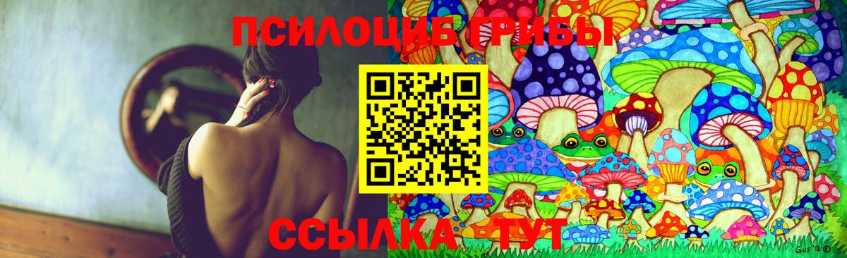 Ярцево  Галлюциногенные грибы GOLDEN TEACHER  Вход с VPN  Псилоцибиновые грибы GOLDEN TEACHER 